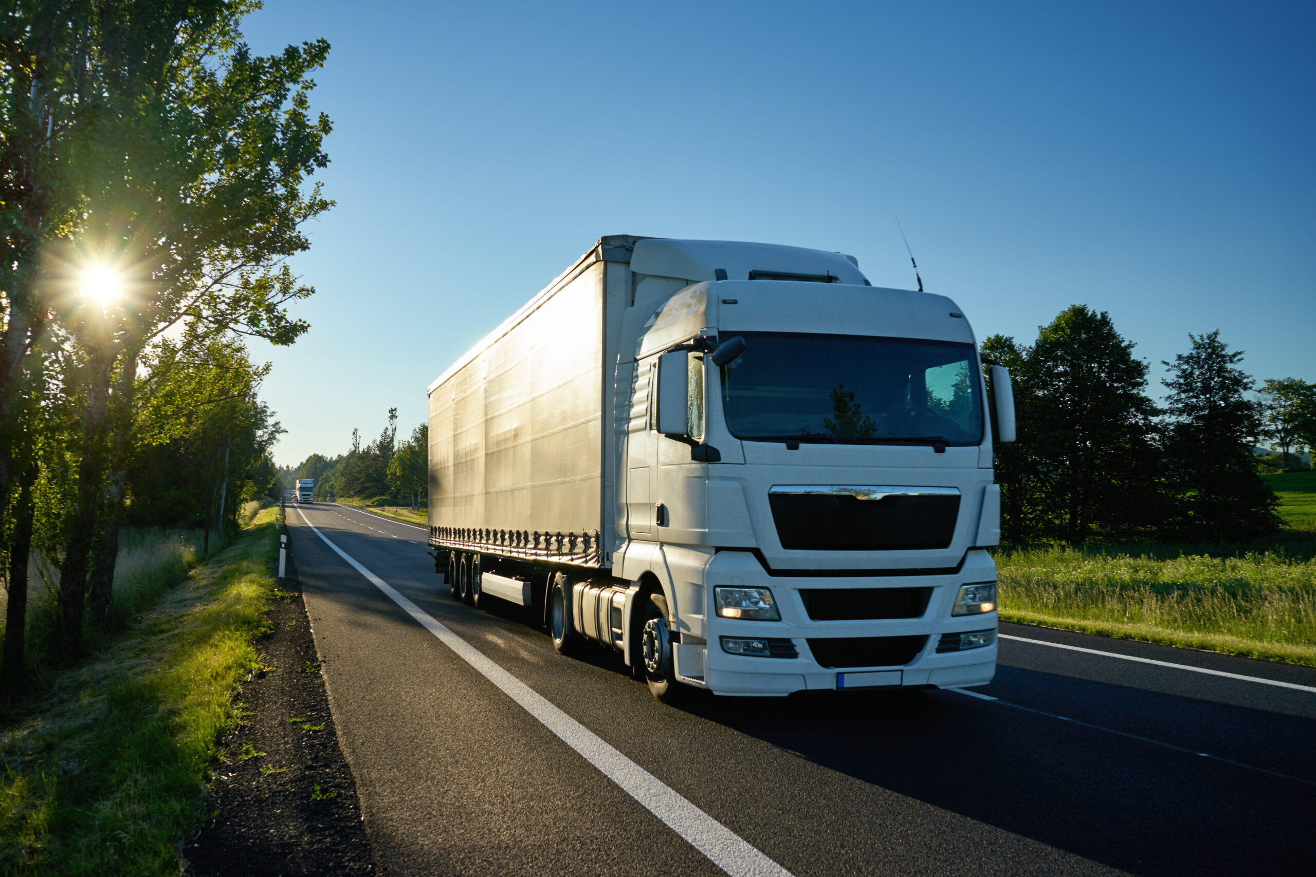 Picture of white HGV on road with blue sky and green foliage
